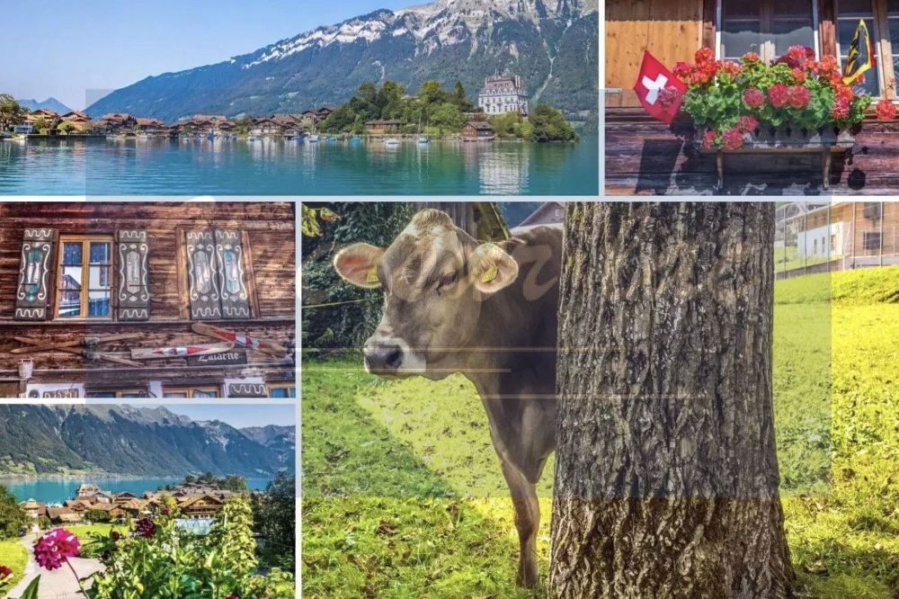 Votre duplex dans l'Oberland Bernois, la magie de la Suisse - Bild 13