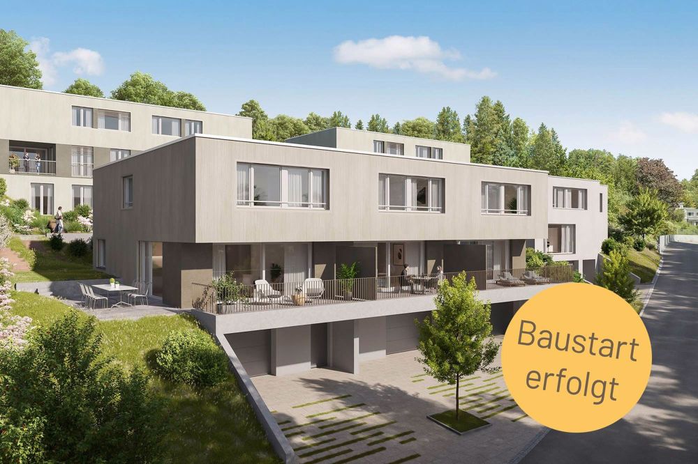 SONNHALDE - 5½-Zimmer-Einfamilienhaus mit Garage - Visualisierung Aussenbereich