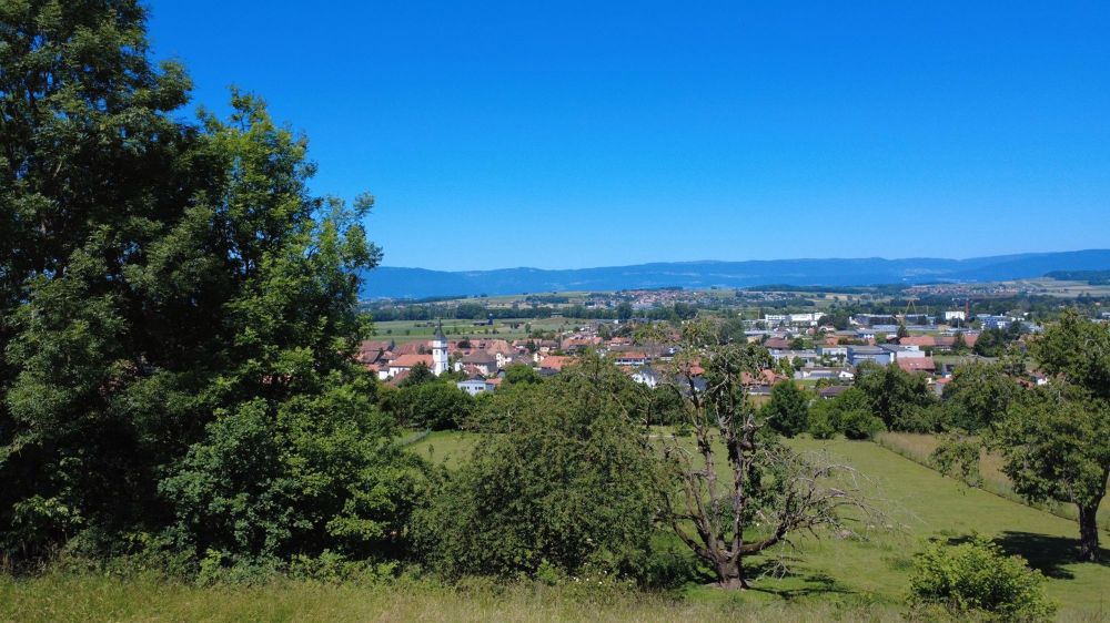 Bientôt en vente - Projet "Les Cerisiers" - 5 spacieuses villas individuelles - Bild 3