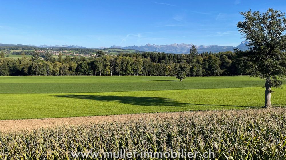 4 moderne Villen mit Abstand, nahe Romont - Bild 8