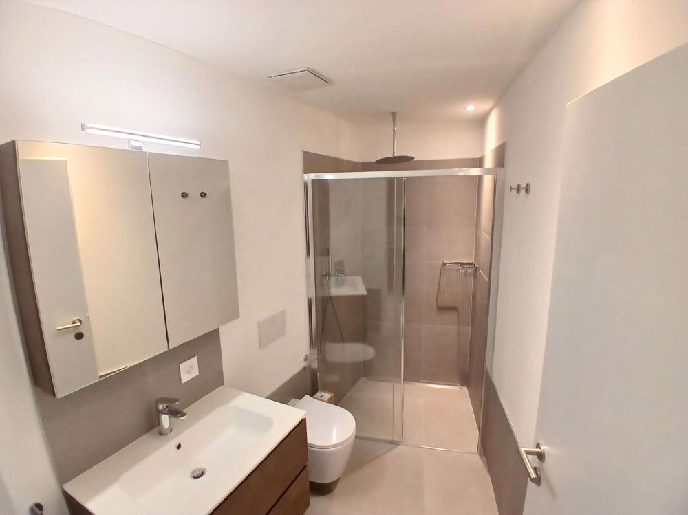 Geräumiges und neues Einzimmerapartment mit ca. 40 m² in Bellinzona - Bild 6