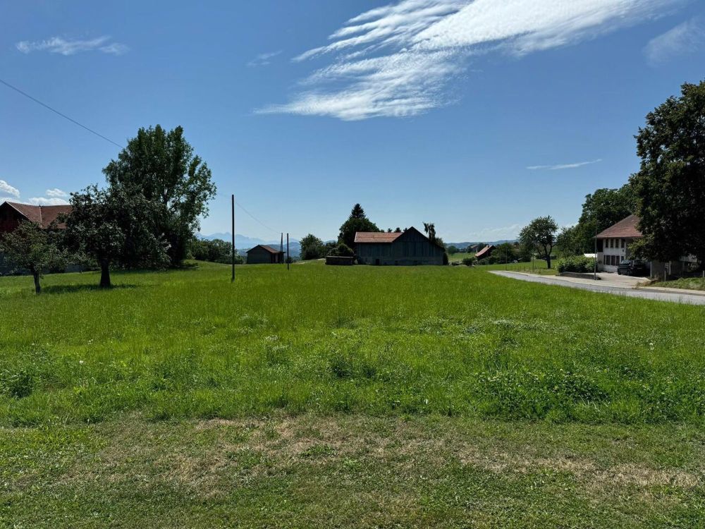 Villa neuve sur plan dans un espace verdoyant - Bild 4