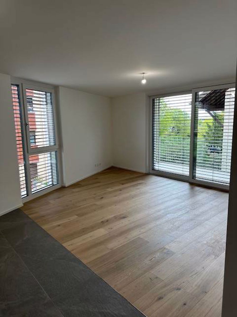 Wohnung 2.5 Zimmer neu, Balkon und innenliegender Parkplatz - séjour