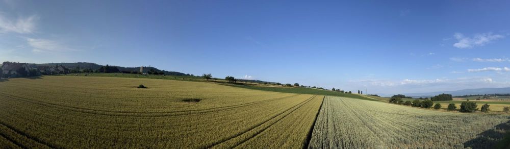 5 1/2 Zimmer-Eigentumswohnungen EG oder DG mit Fernsicht in Seedorf! - Bild 6