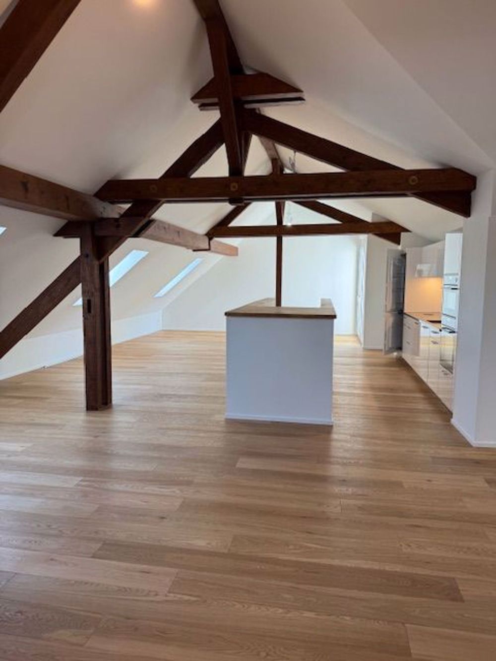 Loftstyle 95 m2 Dachwohnung über das ganze Geschoss mit 7 m2 Terrasse - ab sofort - Bild 4