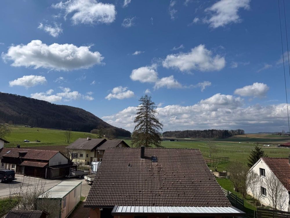 Einzigartige und grosszügige Dachgeschosswohnung im Underdorf - Aussicht Dachwohnung