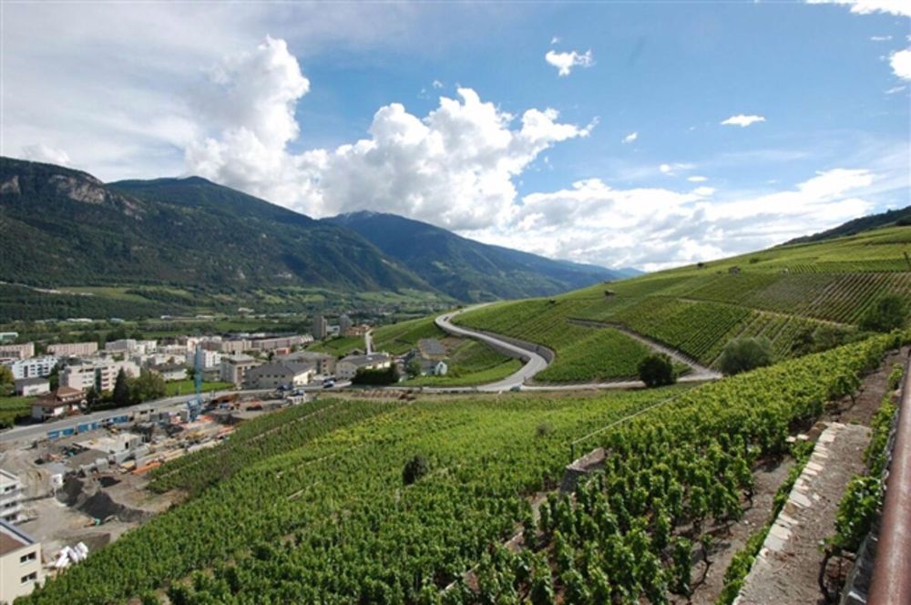 4.5 Zimmerwohnung in Sierre - Bild 8