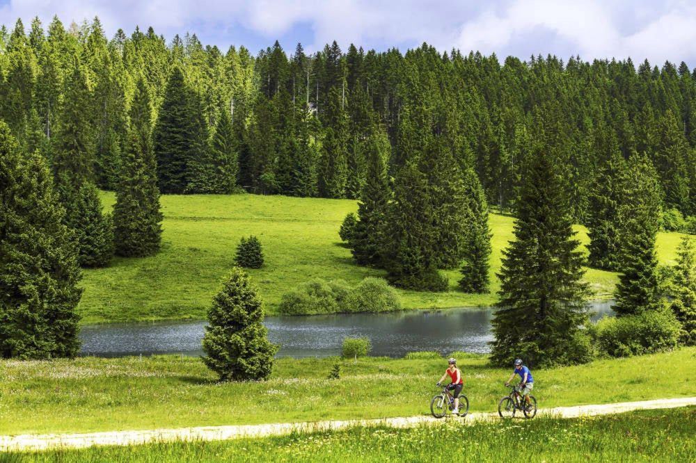 Zwei hochwertige Einfamilienhäuser - Bild 11