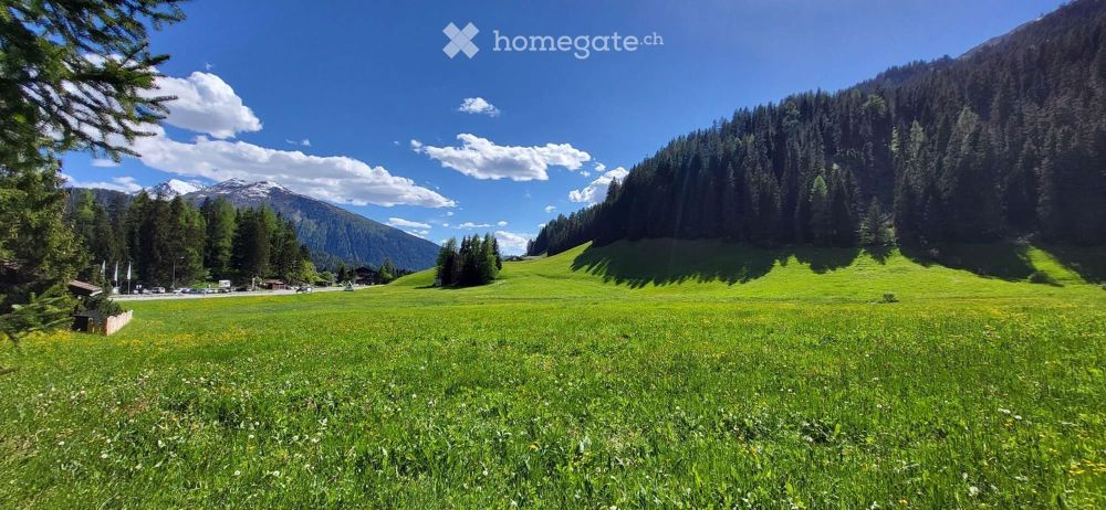 Modernes 5.5-Zimmer-Einfamilienhaus mit Bergblick in Davos Dorf, Haus B - Bild 2