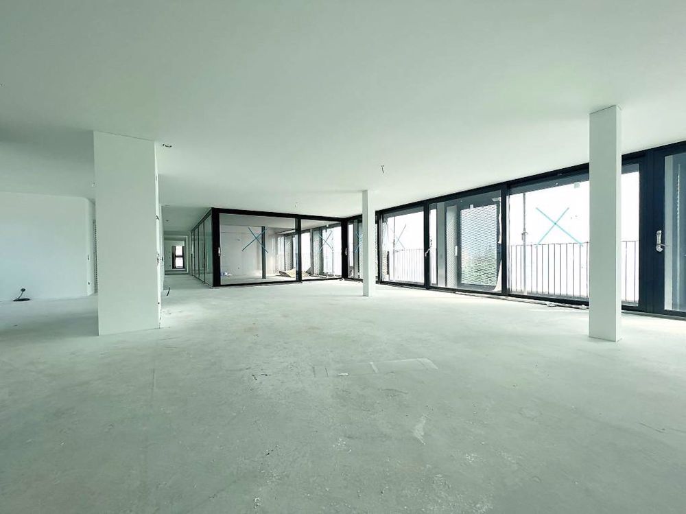 Splendido attico a Massagno - DG53 - Bild 1