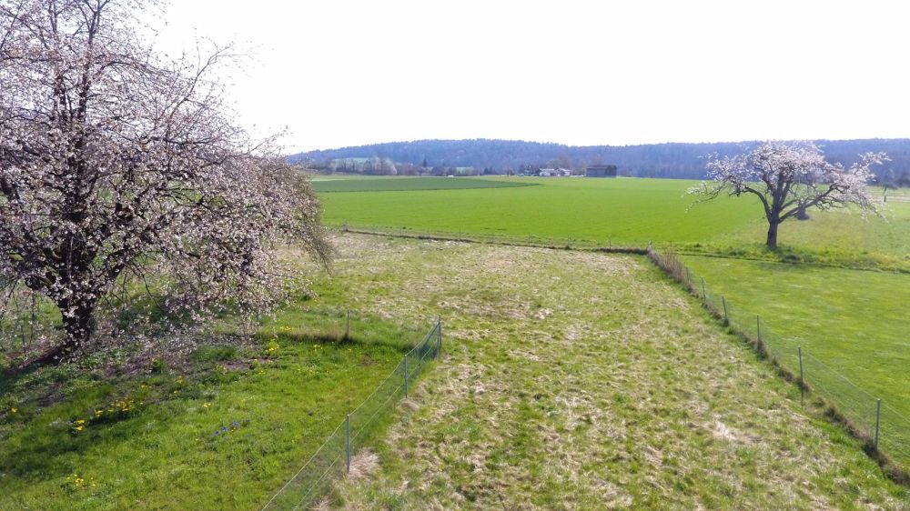 Verkehrsfreies, ruhiges Wohnen im Grünen - Inkl. Einstellhalle, Gartenparzelle und PV Anlage - Bild 7