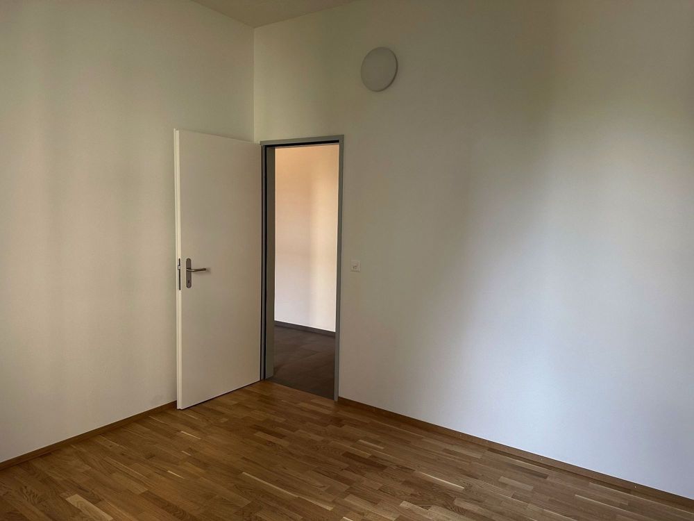 Erstbezug Neubau Loftwohnung mit Garten - Bild 2
