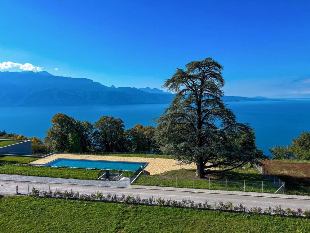 Les Terrasses de Lavaux // 3 1/2 pièces // Bâtiment C1 - Bild 4