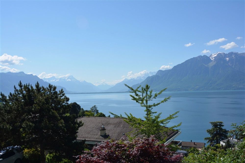 Nur wenige Schritte vom Genfer See entfernt, 3 Luxusvillen mit Panoramablick - Bild 4