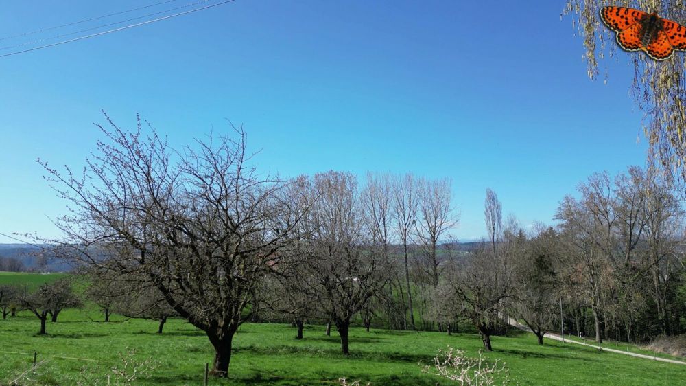 Spacieuse maison au calme totalisant 232 m² avec jardin ! - Vue depuis le jardin