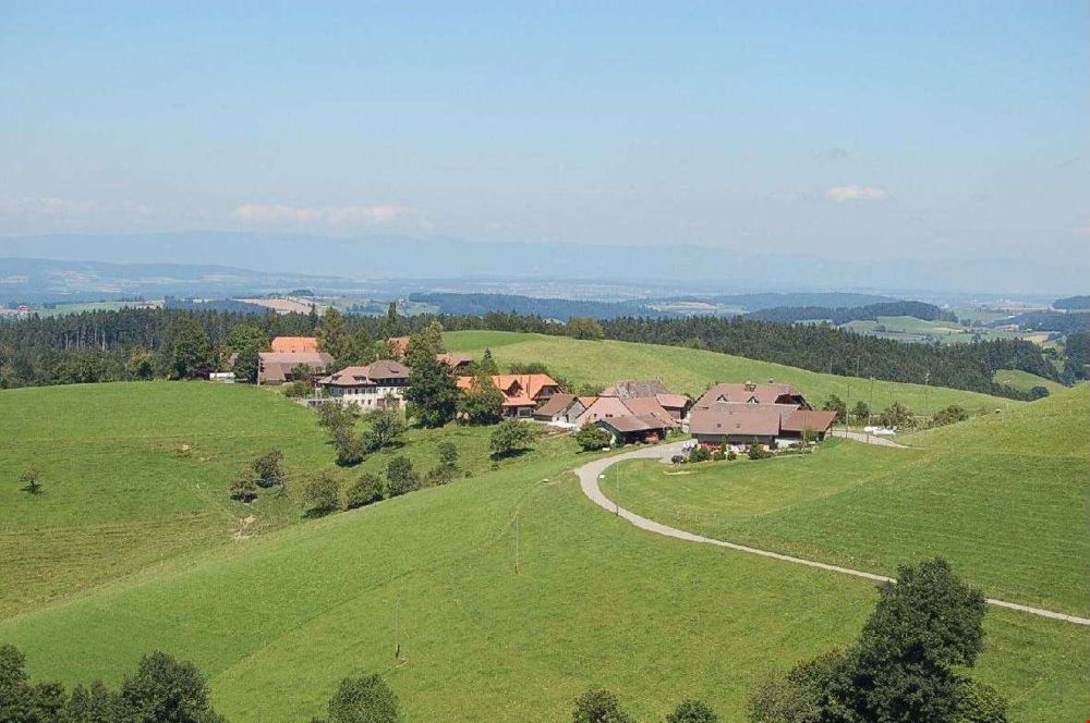 Wohnung in einem neuen Mehrfamilienhaus - Bild 3