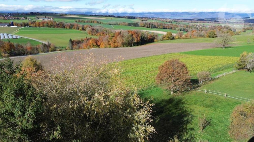 Verkauf nach Plänen in Rueyres: 2 Villen mit 6,5 Zimmern und 150 m2 Wohnfläche mit schöner Aussicht auf das Tal, 1 km von der Gare du Leb de Bercher entfernt - Bild 6