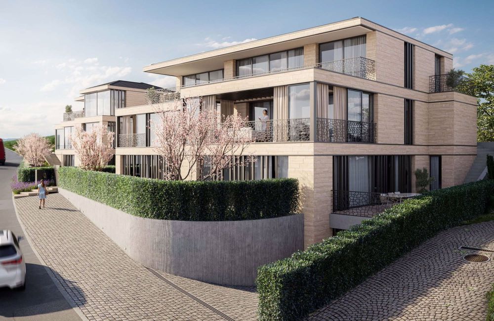 Luxuriöse Neubau-Villa in steuergünstiger Toplage mit Blick auf Sempachersee und Alpen - Bild 11