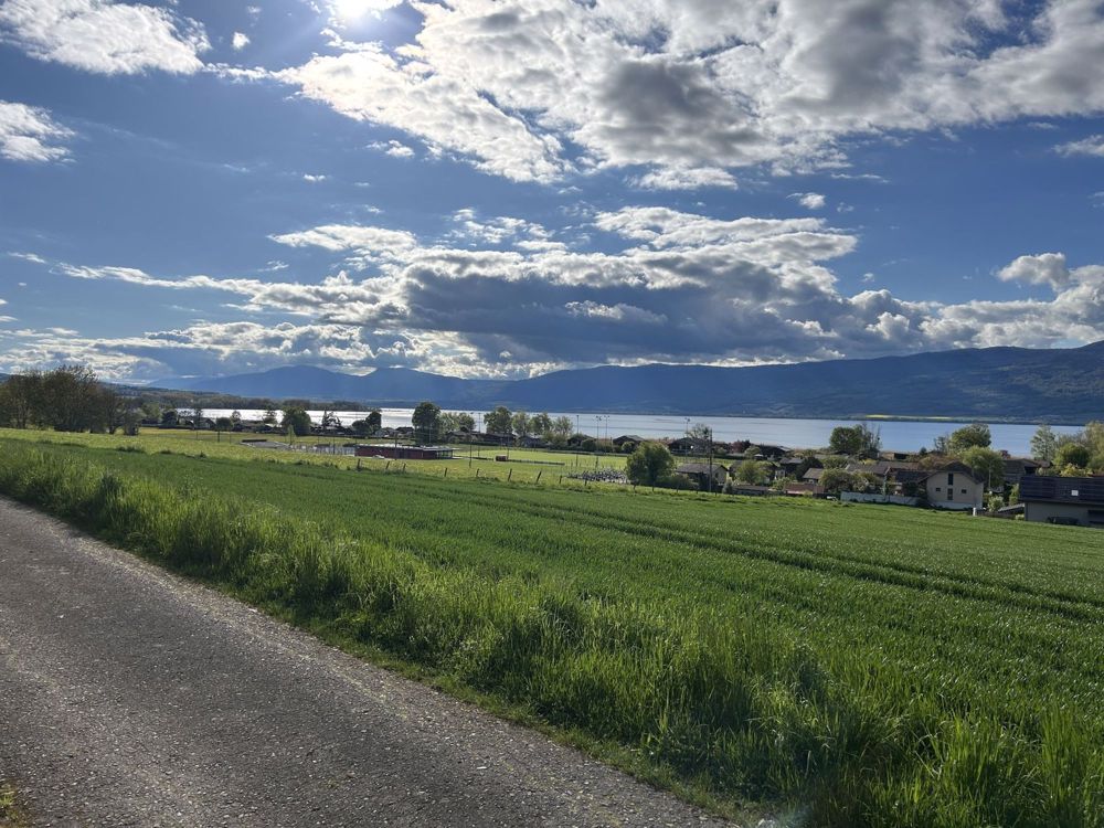 Cheyres Moderne 5.5-Zimmer-Villa *Fantastische Aussicht auf den See* - Bild 5