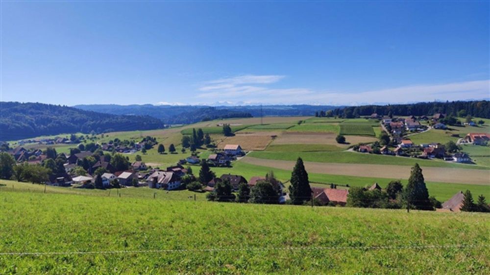 Natürlicher Charme / letzte Möglichkeit - Bild 7