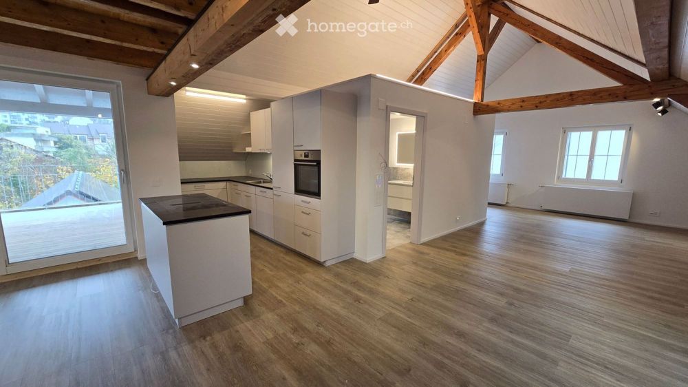 Exklusive 1-Zimmer-Loft-Wohnung in Thayngen - Neubau 2025 - Bild 1