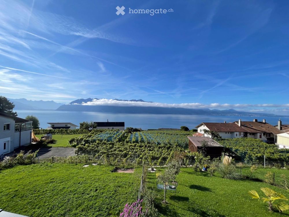 Prachtvoll mit grandiosem Blick auf den See und die Alpen - Bild 1