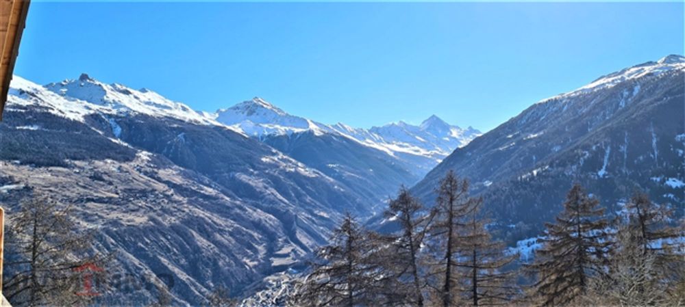 3.5 Zimmerwohnung, neu, Bezahlung in Euro möglich - Bild 6