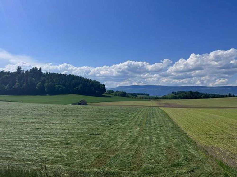 Magnifique projet aux portes d'Yverdon-les-Bains - Bild 2