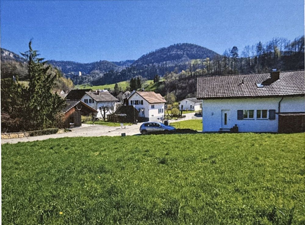Neubau-Einfamilienhaus mit Carport und grossem Grundstück in Zullwil (SO) - Bild 4