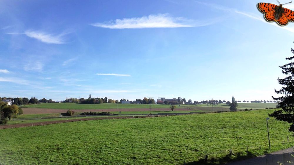 Magnifique 4½ pièces en rez-de-jardin avec terrasse de 44 m² - Vue