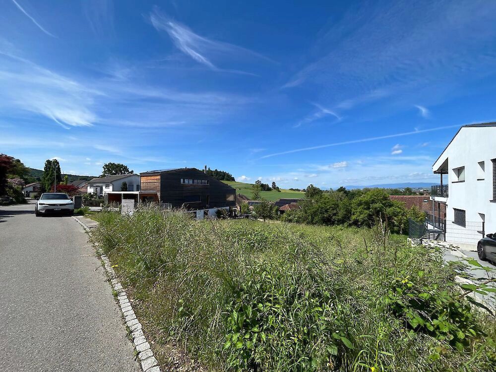 Neubau 4.5 Zimmer-Wohnungen in Murten - Bild 5
