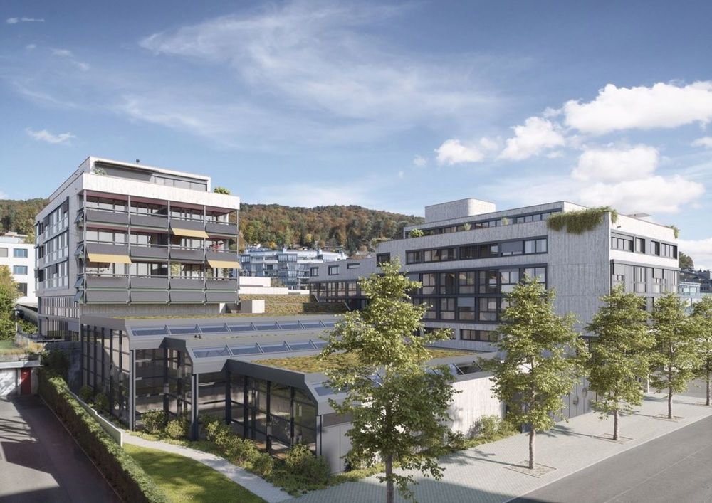 Letzte Wohnung des Erstvermietungsprojekts Hoschti - Aussenvisualisierung Hoschti