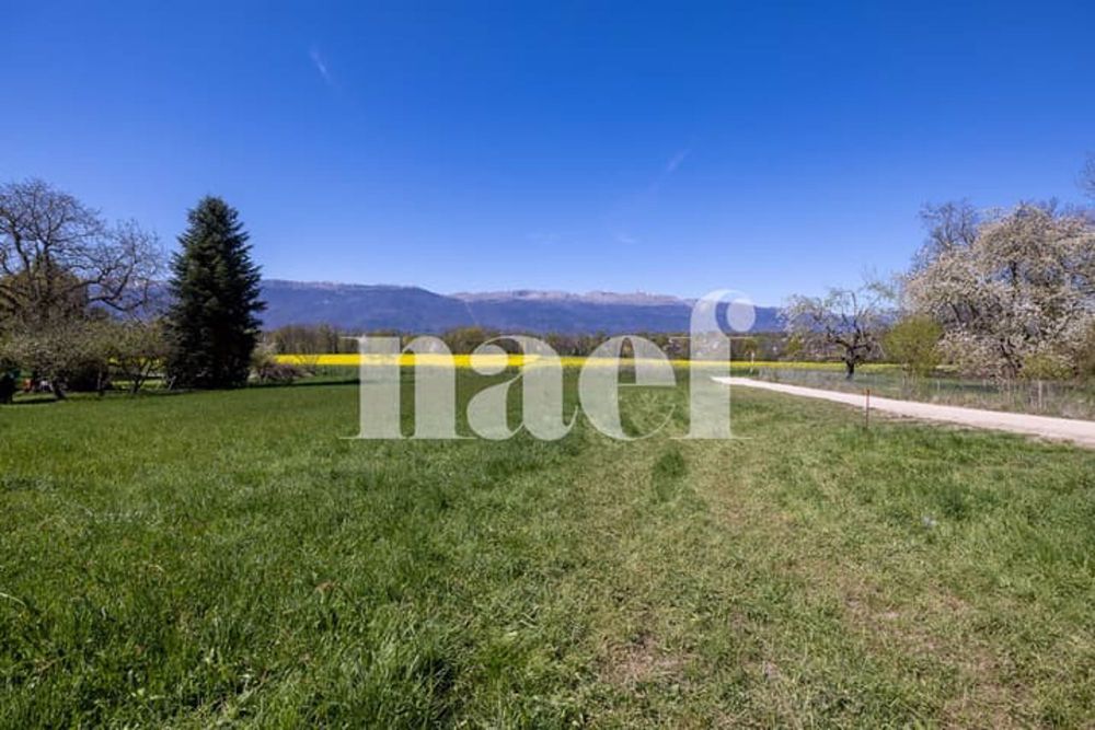 Villa neuve avec vue panoramique de 7 pièces - Av_de_Mategnin_103_1217_Meyrin_WEB_Fil_011.jpg