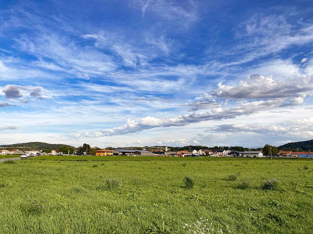 CORCELLES-PRES PAYERNE - MAISON AVEC RENDEMENT ET POTENTIEL CONSTRUCTIBLE - Bild 3