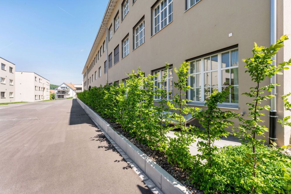 Investitionspaket in kernsaniertem Mehrfamilienhaus - Bild 1