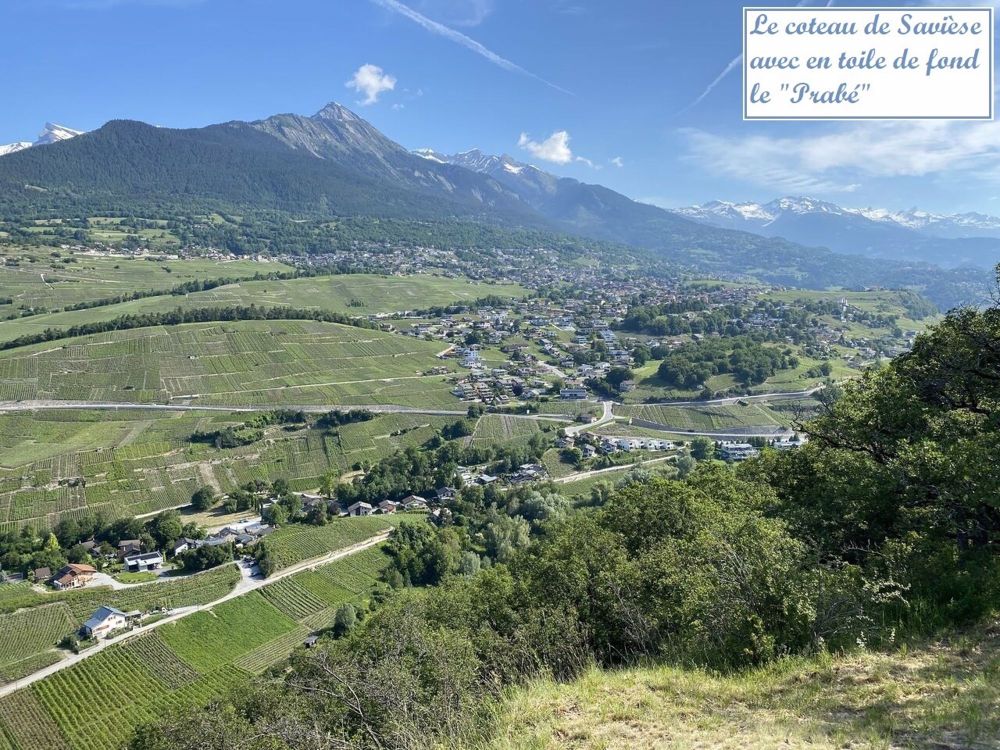 Nouveauté - Centre de Savièse - Bild 9