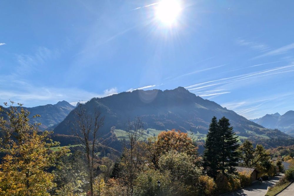 Chalet von hohem Standard in Crésuz mit Panoramablick - Bild 6