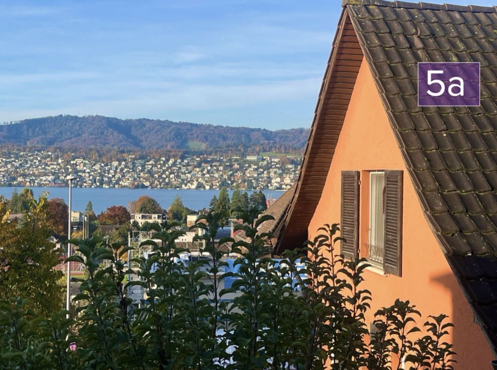 Gelegenheit mit Seltenheitswert: 525 m2 grosses Grundstück mit Seesicht und Zentrumsnähe! - Bild 2