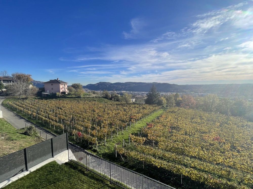 NEUES UND AUSSERGEWÖHNLICHES 3.5-ZIMMER-APARTMENT MIT BEZAUBERNDEN AUSBLICK - Bild 11