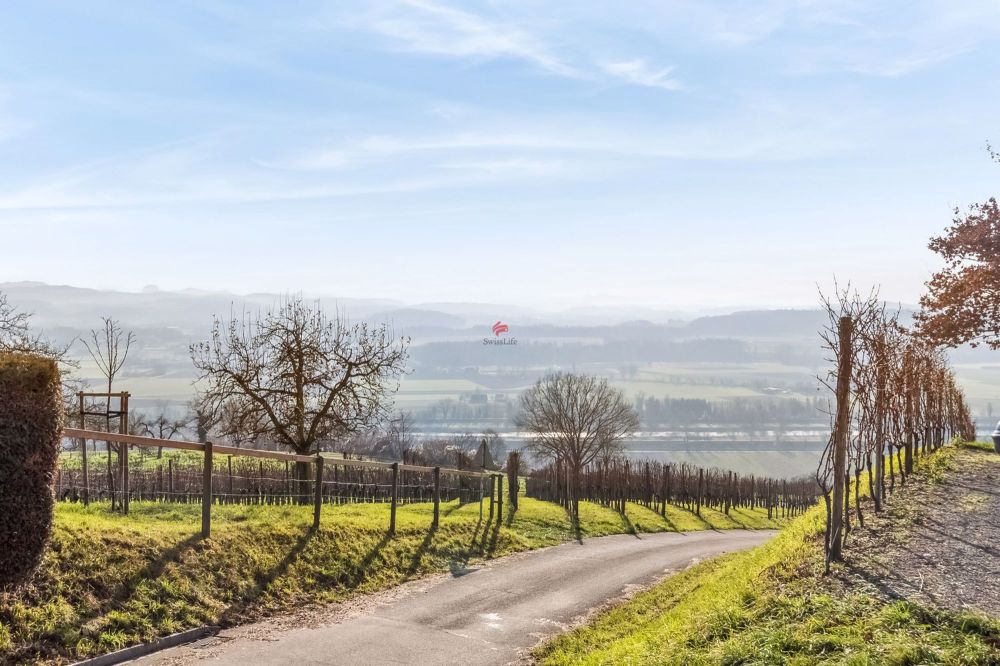 Neubau an erhöhter Lage mit Weitsicht - Willkommen in Uesslingen-Buch!