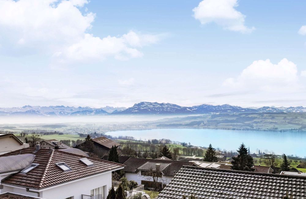Luxuriöse Neubau-Villa in steuergünstiger Toplage mit Blick auf Sempachersee und Alpen - Bild 9