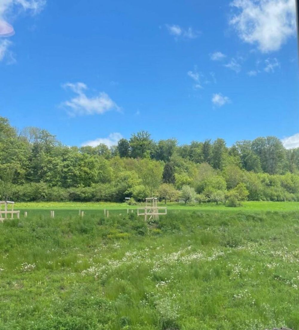 Appartement/Villa mit 4,5 Zimmern + großem Untergeschoss in Mont-sur-Lausanne - Bild 1