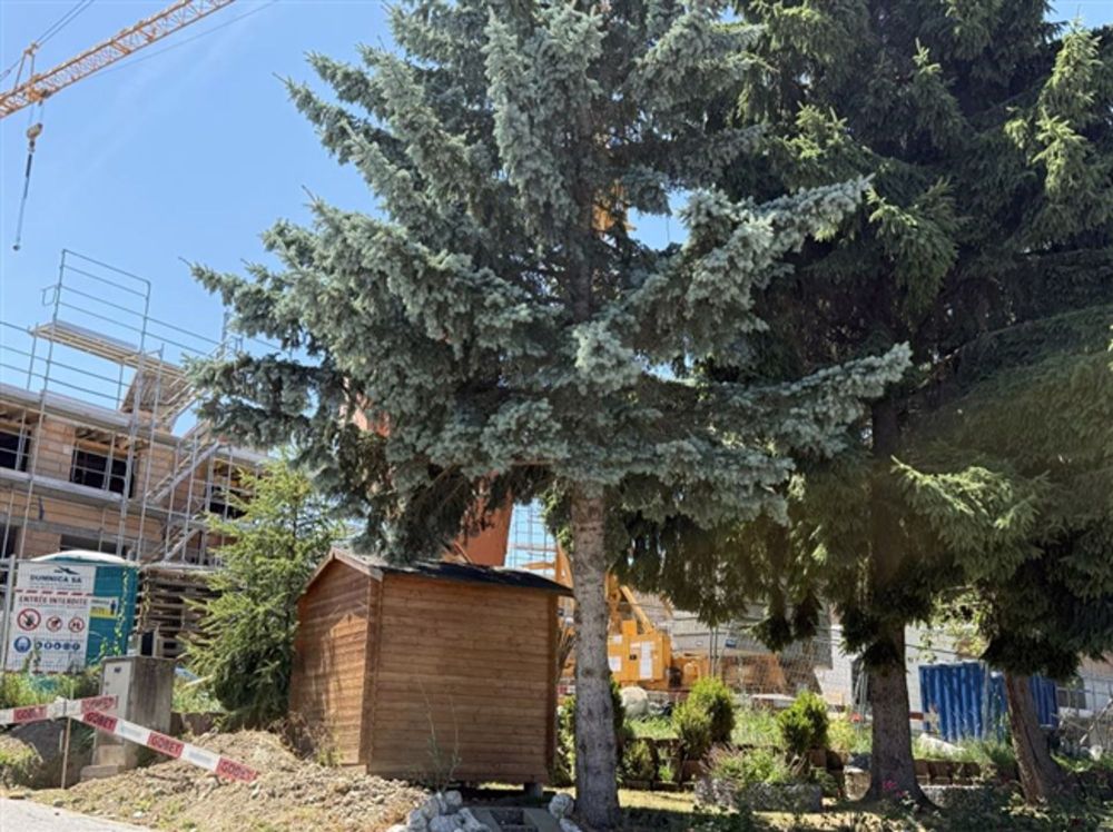 Schöne Anlagewohnung von 3,5 P und 124 m² Terrasse im Bau - Bild 7