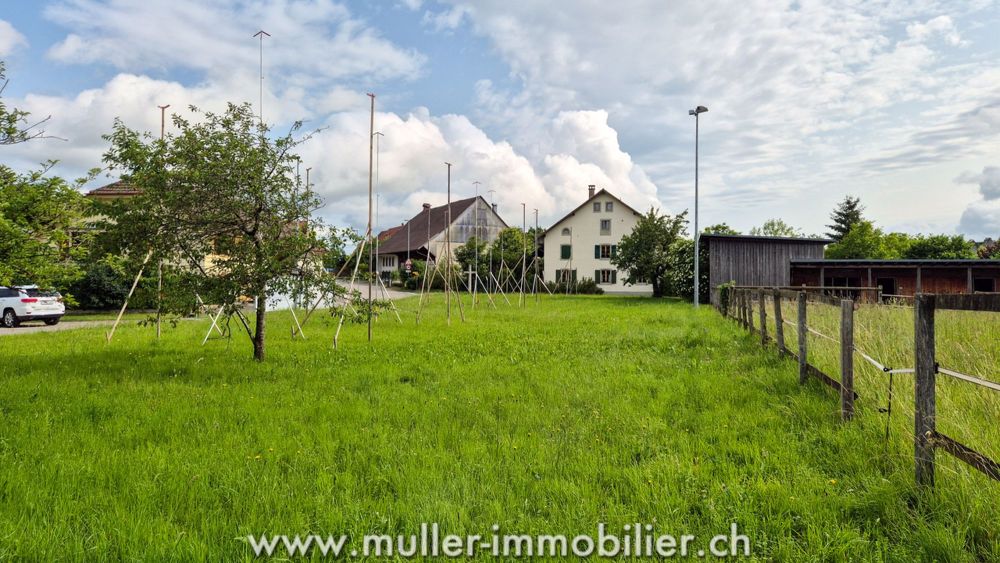 Neue Halb-Einfamilien-Villa mit Garten in den Höhen von Payerne - Bild 4