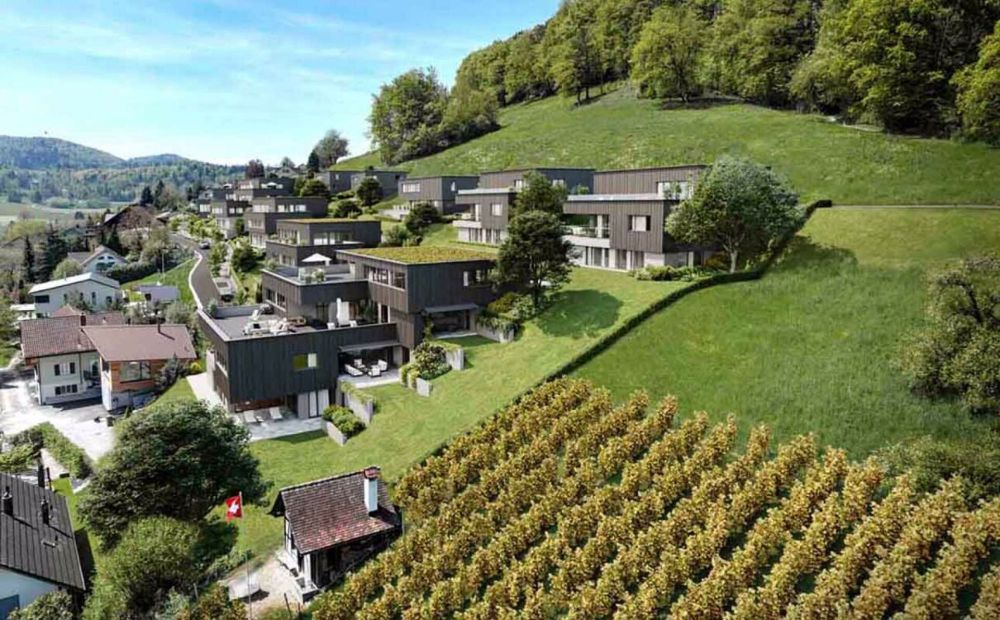 Traumhafte Fernsicht auf Alpstein mit Säntis und Churfirsten - 5.5-Zi.-Terrassenhaus - Bild 5