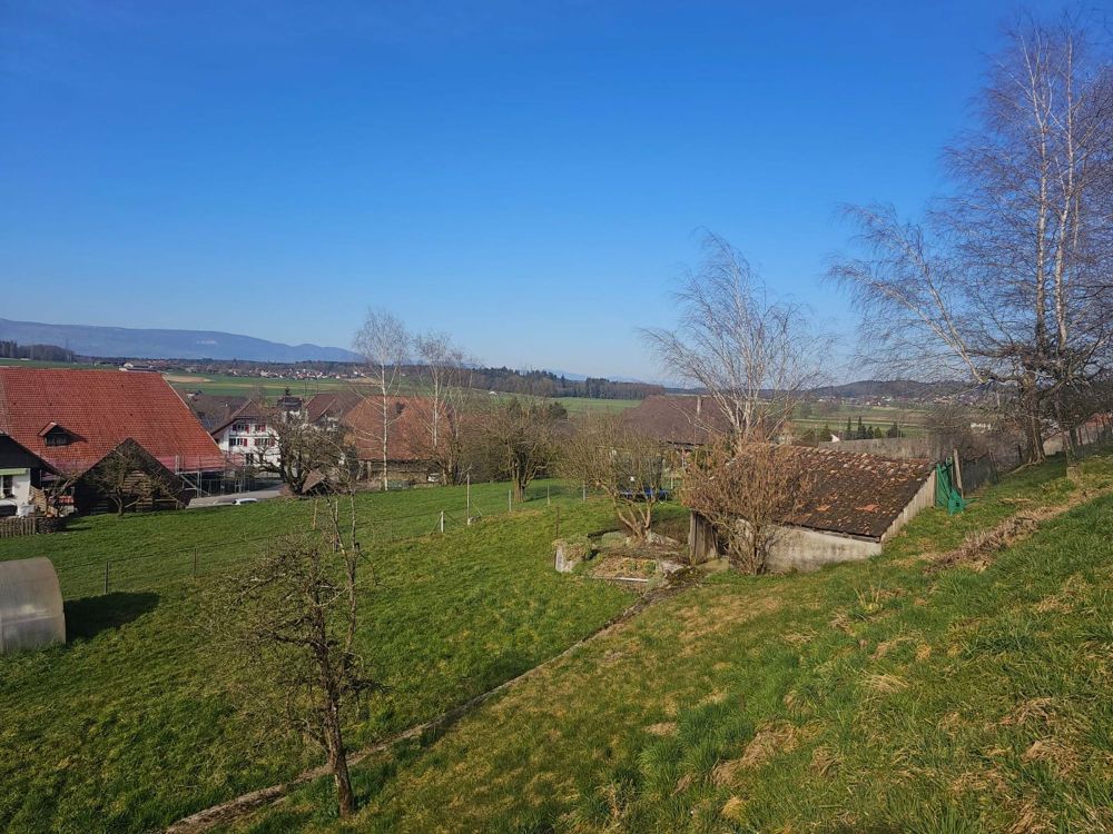 Wohntraum an ruhiger Lage | vier freistehende EFH - Bild 1