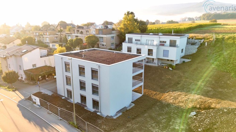 Neubauprojekt in Laufen - Doppeleinfamilienhäuser - Aussenansicht / Exterior view