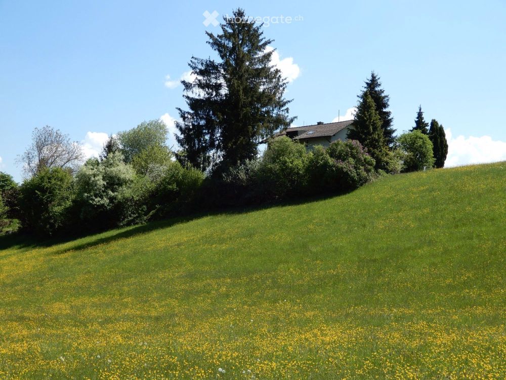 Trauminsel in Burgdorf - Bild 1