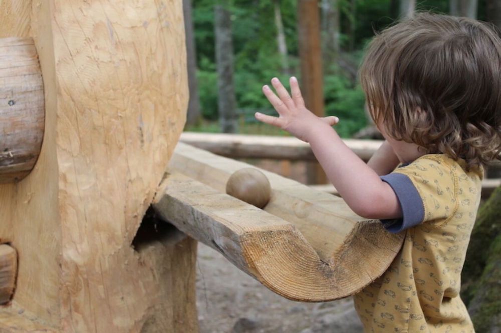 Weitblick Sonnmatt: Wg. A 4.1 - Kindervergnügungspark beim Baumwipfelpfad