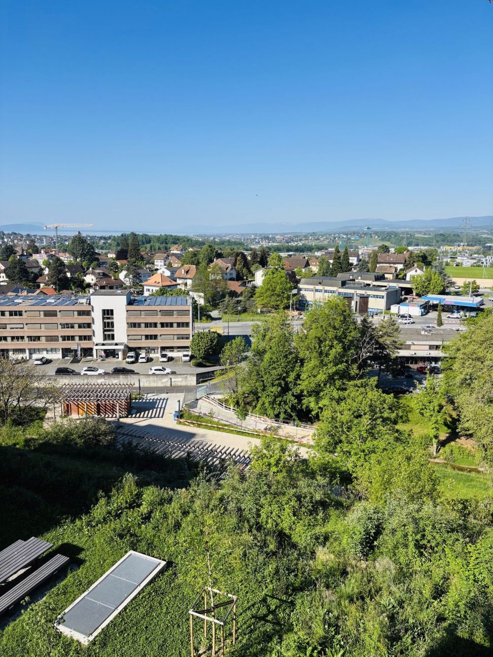 4 ½ Zimmer-Wohnung in Crissier mieten - Bild 8